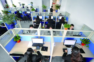 三足鼎立新格局 南明区大数据产业赋能档案服务外包